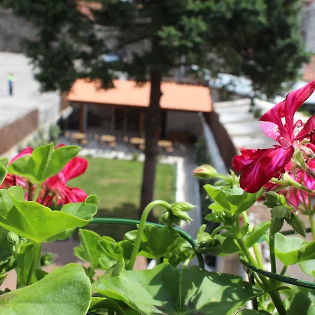 Rosario's Boutique Porto