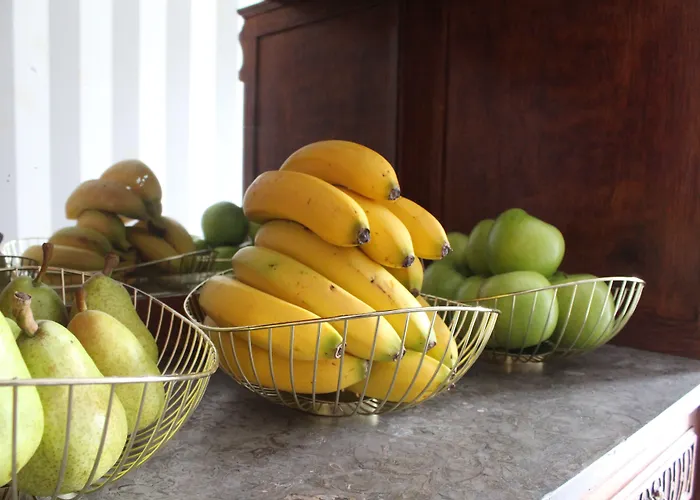 Lägenhet Rosario's Boutique Oporto